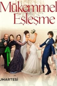 Идеальная пара турецкий сериал